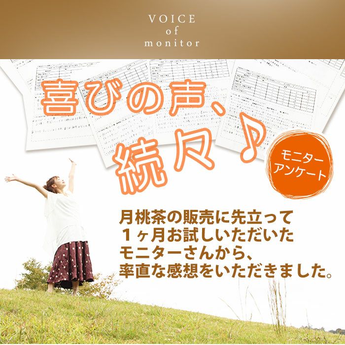 西村さんちの月桃茶 １か月分 ３０パック入り 肥満 高血圧 高血糖 花粉症 便秘 むくみ 女性の悩み解消 ポリフェノール 体質改善【メール便可】