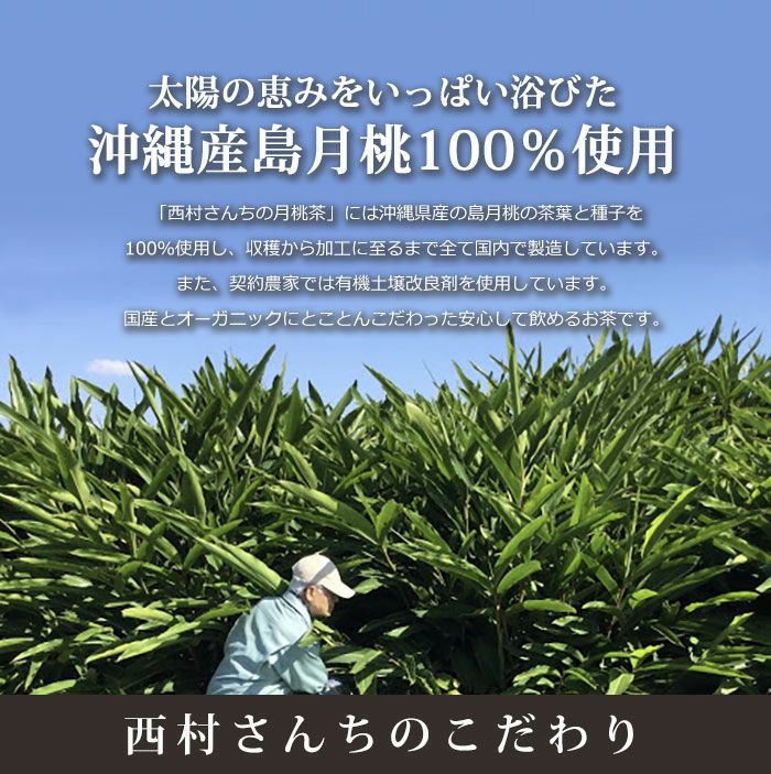 西村さんちの月桃茶 １か月分 ３０パック入り 肥満 高血圧 高血糖 花粉症 便秘 むくみ 女性の悩み解消 ポリフェノール 体質改善【メール便可】