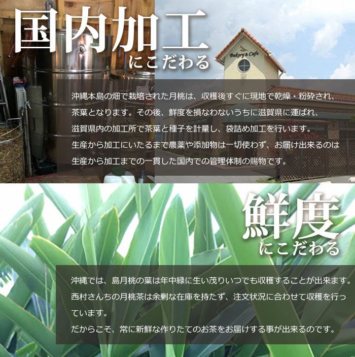 西村さんちの月桃茶 １か月分 ３０パック入り 肥満 高血圧 高血糖 花粉症 便秘 むくみ 女性の悩み解消 ポリフェノール 体質改善【メール便可】