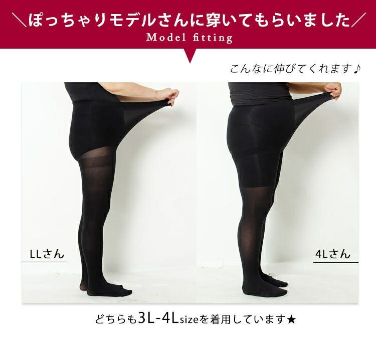 大きいサイズ レディース ワンポイント80デニールタイツ　pure-008