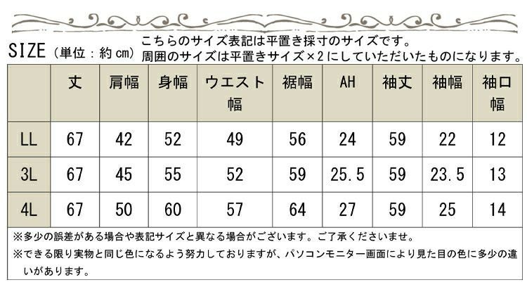 大きいサイズ レディース スラブデニムベーシックシャツ　wd-0160