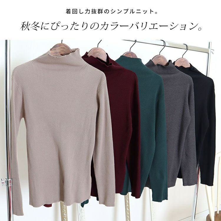 大きいサイズ レディース タートルネックリブニット　wn-0117