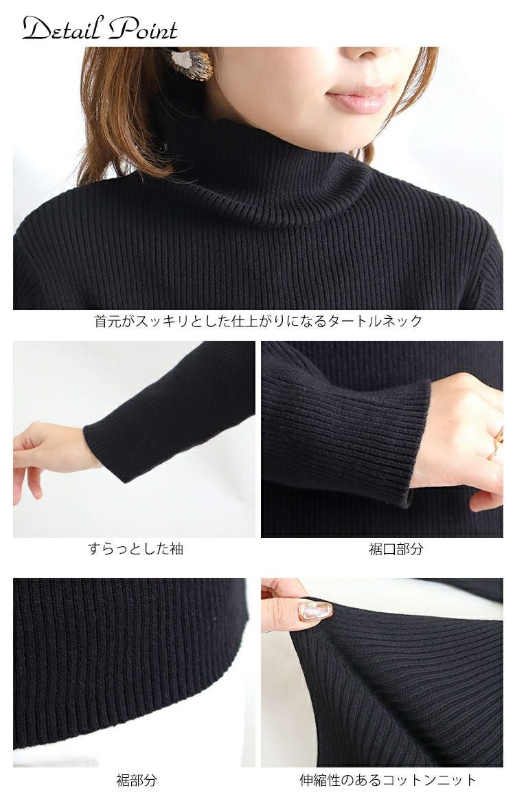 大きいサイズ レディース タートルネックリブニット　wn-0117
