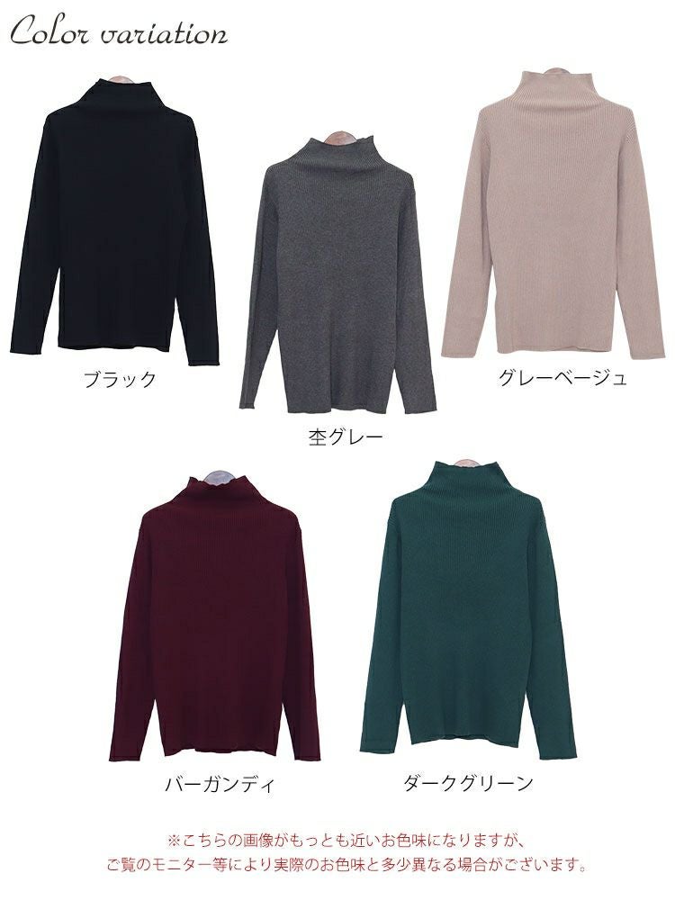 大きいサイズ レディース タートルネックリブニット　wn-0117