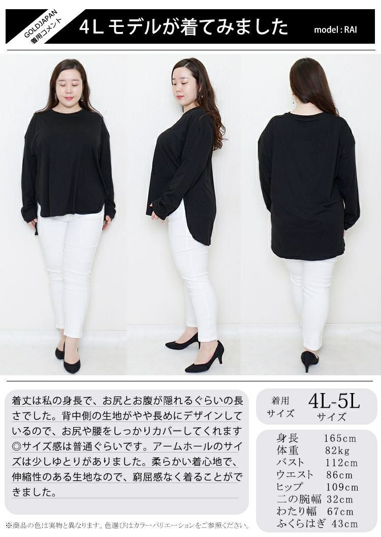 大きいサイズ レディース ラウンドロングヘムカットソー　wk-0277 【メール便可】