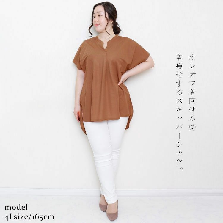 大きいサイズ レディース 鹿の子スキッパーシャツチュニック　mncut-122112 【メール便可】