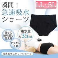 大きいサイズ レディース 瞬間！急速吸水サニタリーショーツ 生理用 35cc吸水 mo-s013 【メール便可】