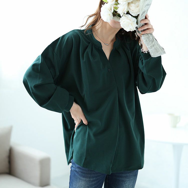 大きいサイズ レディース シワになりにくいブラウス　cast-5526013 【メール便可】