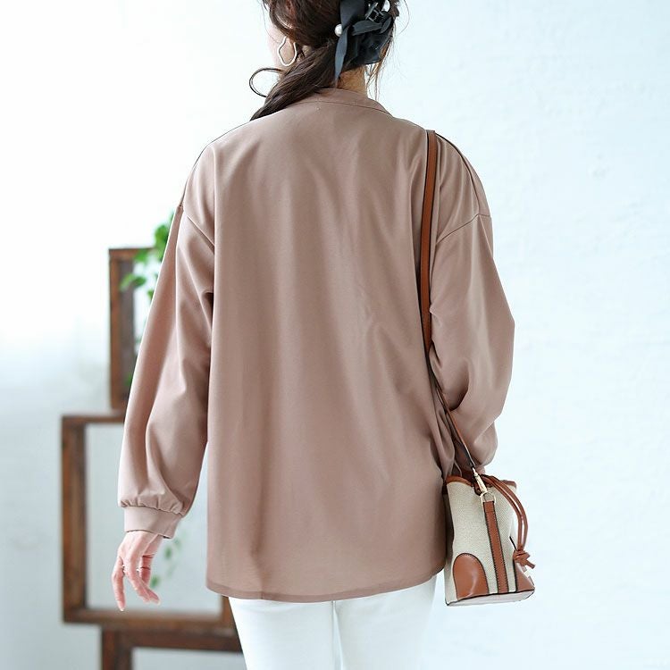 大きいサイズ レディース シワになりにくいブラウス　cast-5526013 【メール便可】