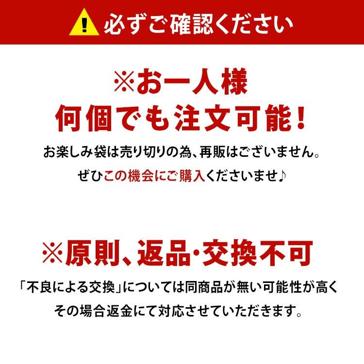 大きいサイズ レディース お楽しみ袋4点セット　fuku-2022