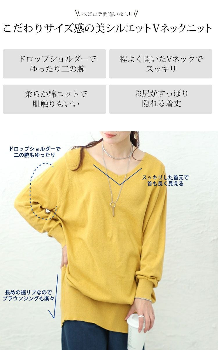 大きいサイズ レディース Vネックドルマンニット wn-0003 【メール便可