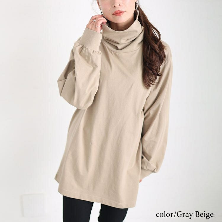 大きいサイズ レディース タートルネックカットソープルオーバー　wk-0454