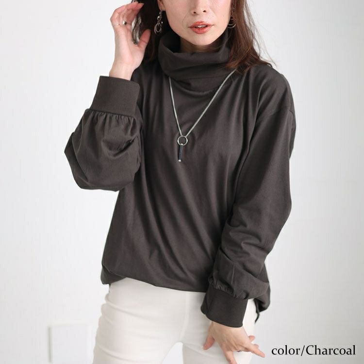 大きいサイズ レディース タートルネックカットソープルオーバー　wk-0454