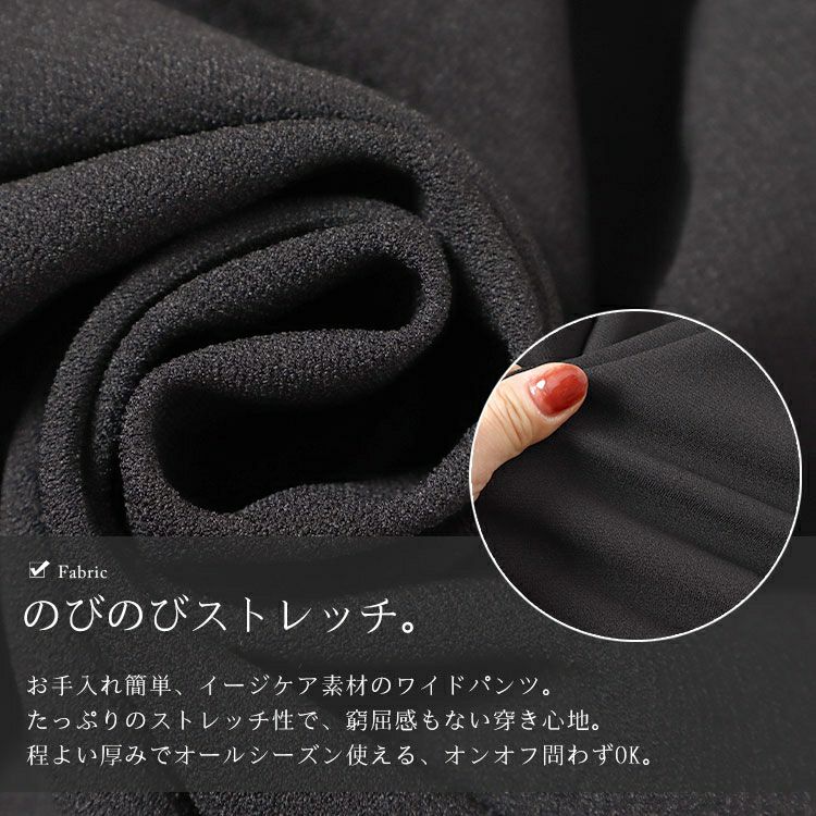 大きいサイズ レディース センターラインストレッチワイドパンツ　sfe-0001