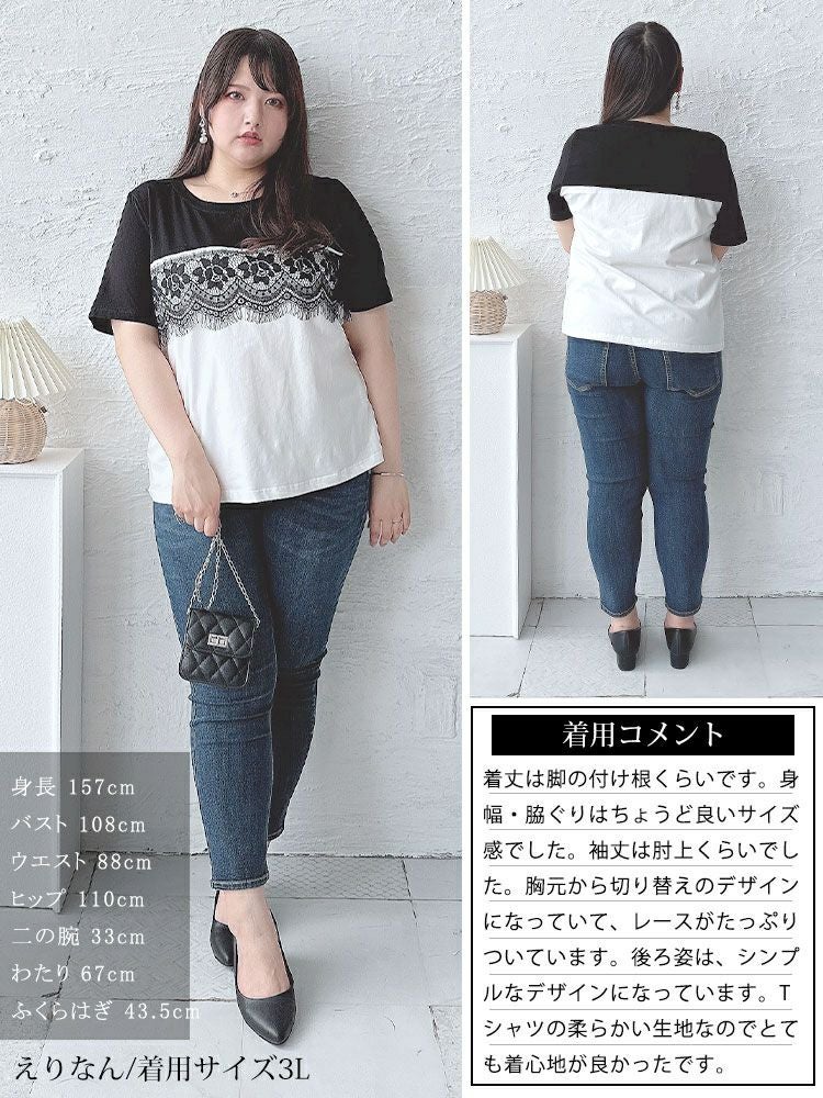 大きいサイズ レディース レース切替えバイカラーTシャツ　goldy-1523 【メール便可】
