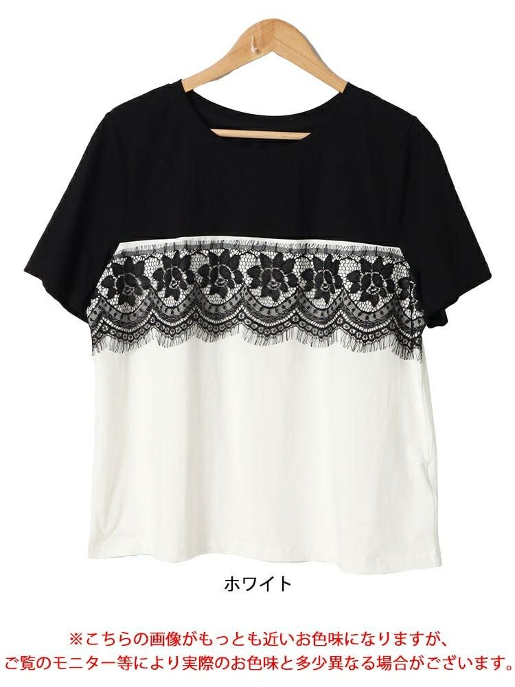 大きいサイズ レディース レース切替えバイカラーTシャツ　goldy-1523 【メール便可】