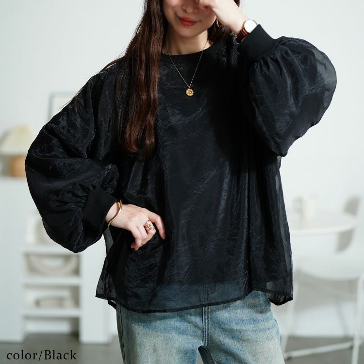 大きいサイズ レディース シアーレイヤードボリューム袖プルオーバー　plan-250056