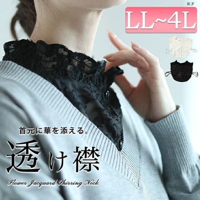 大きいサイズ レディース 花柄シアーシャーリング付け襟　cpdai-640644 【メール便可】