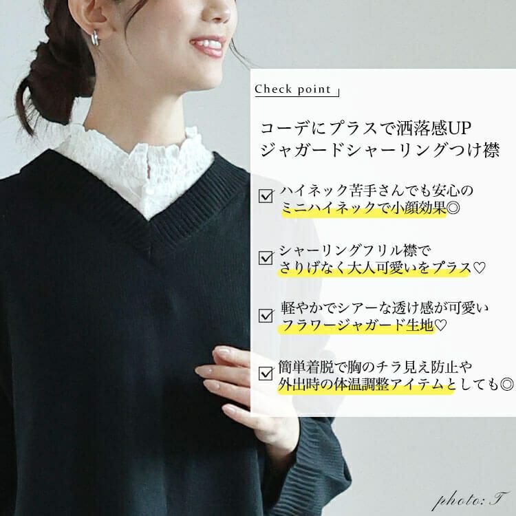 大きいサイズ レディース 花柄シアーシャーリング付け襟　cpdai-640644 【メール便可】