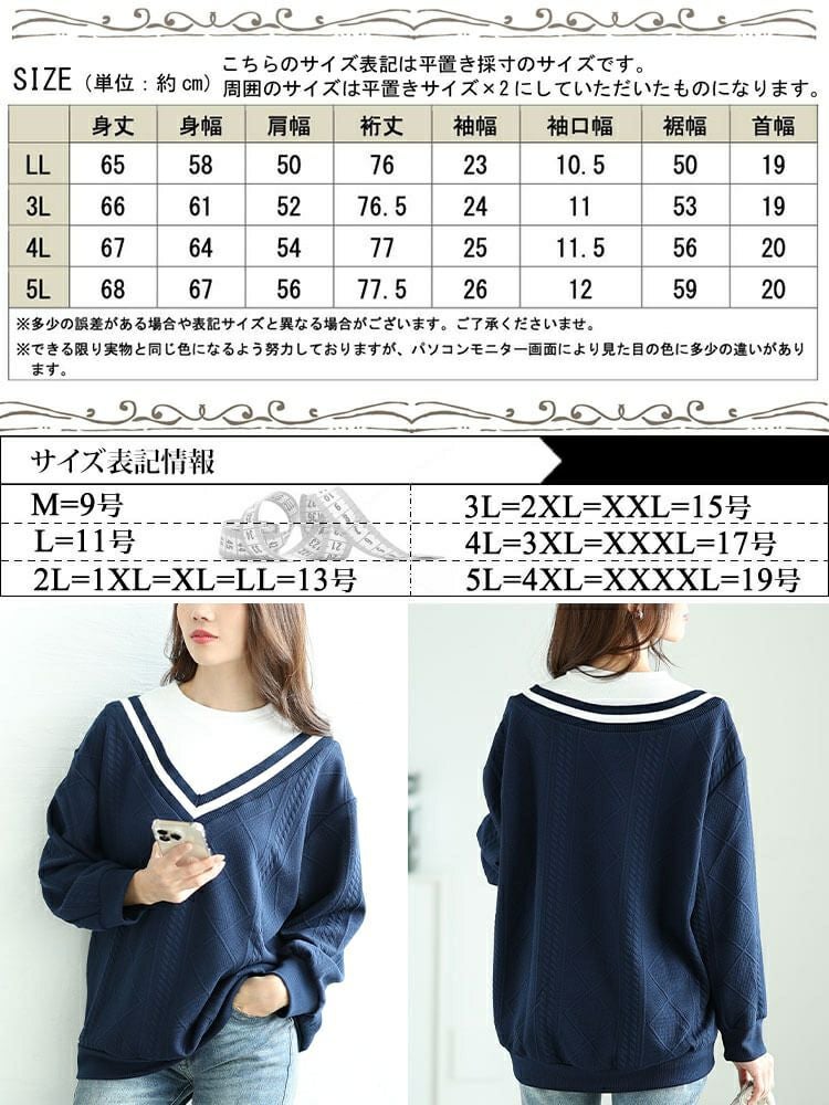 大きいサイズ レディース ラインVネック重ね着風プルオーバー　cpdai-659259