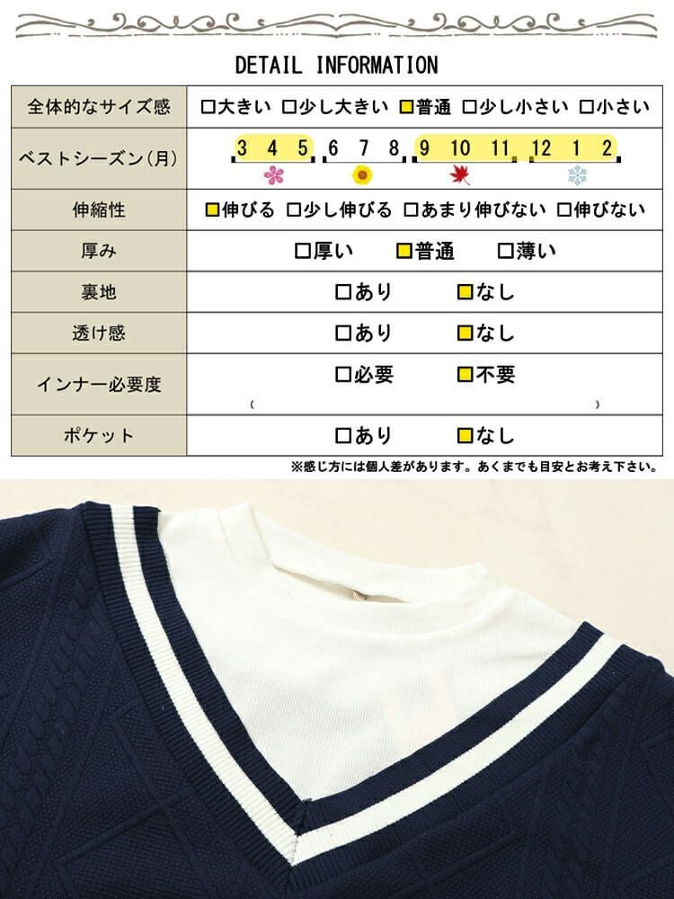大きいサイズ レディース ラインVネック重ね着風プルオーバー　cpdai-659259
