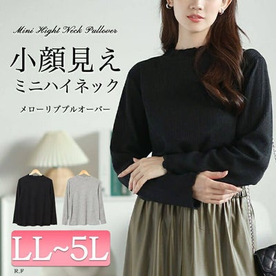 大きいサイズ レディース メローミニハイネックリブプルオーバー　cpdai-659083