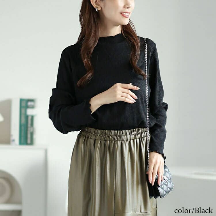 大きいサイズ レディース メローミニハイネックリブプルオーバー　cpdai-659083