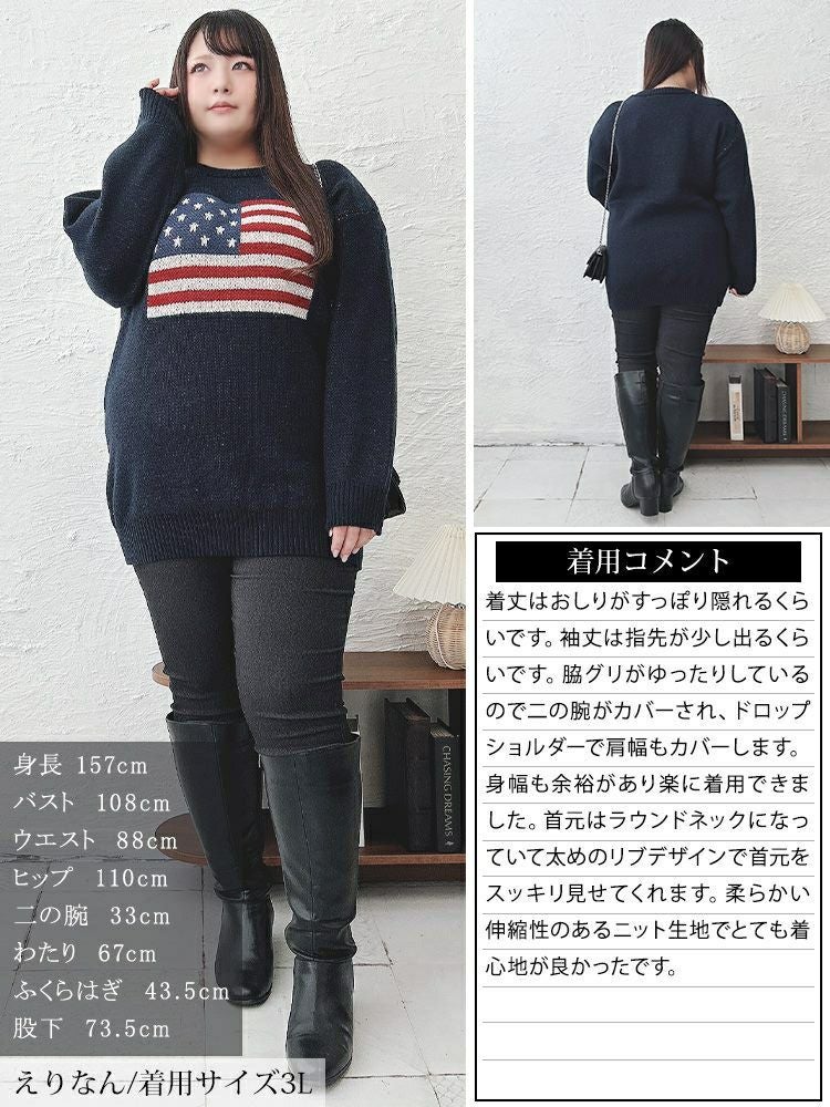 大きいサイズ レディース 国旗柄太リブ切り替えニット　cros-240060