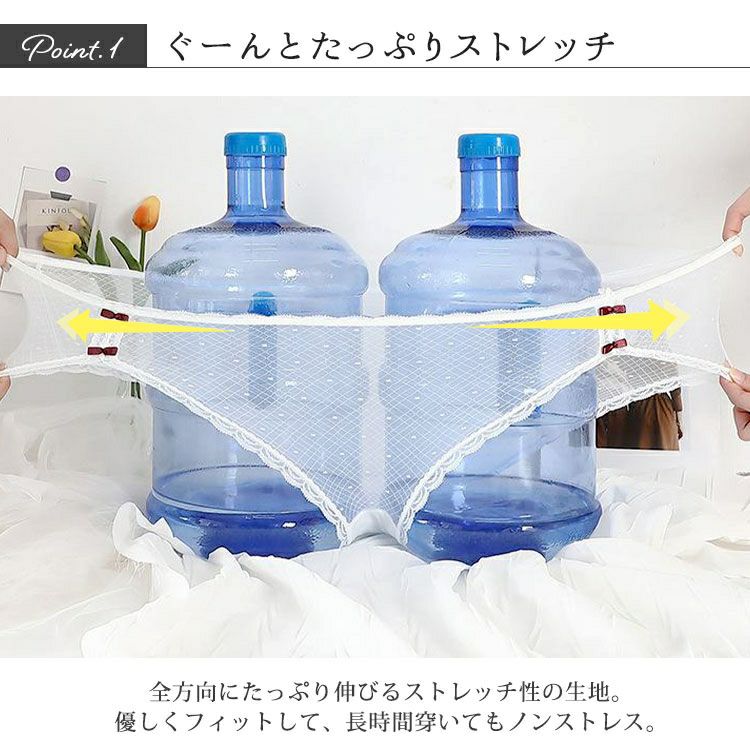 大きいサイズ レディース ドット柄シアーレースショーツ　goldy-1741【メール便可】