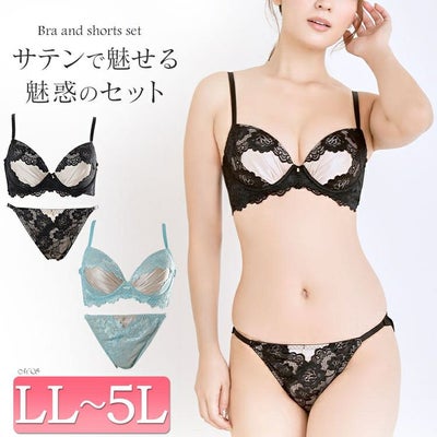大きいサイズ レディース サテン切り替えノンワイヤーブラ＆ショーツ2点セット　nima-nj2185