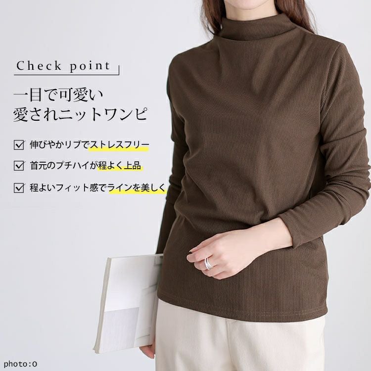 大きいサイズ レディース プチハイネックリブトップス goldy-1784