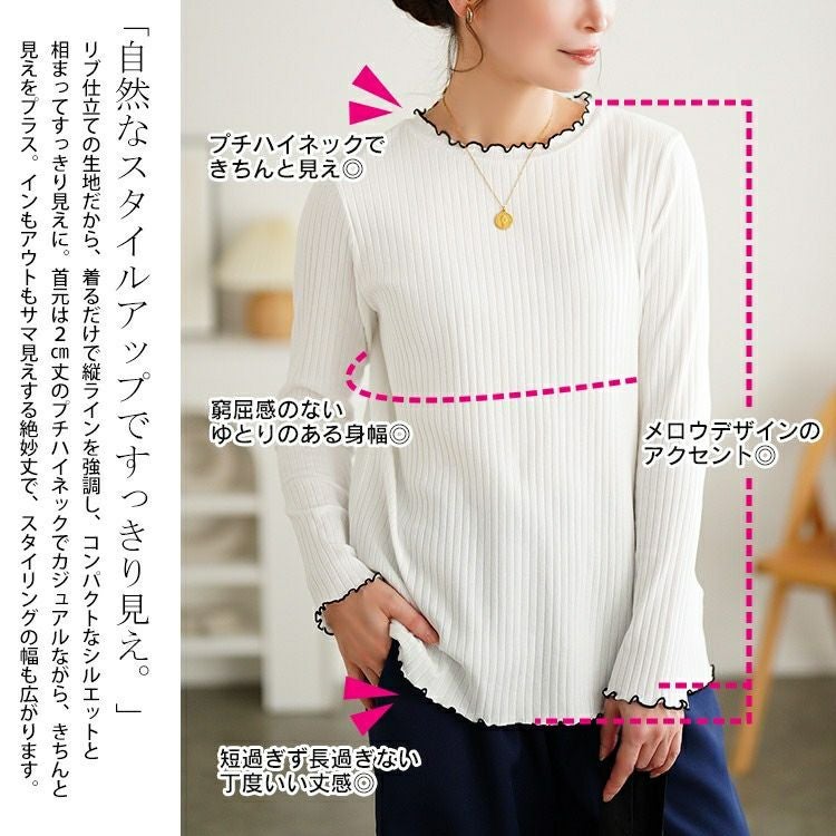 大きいサイズ レディース 配色メロープチハイネックリブトップス