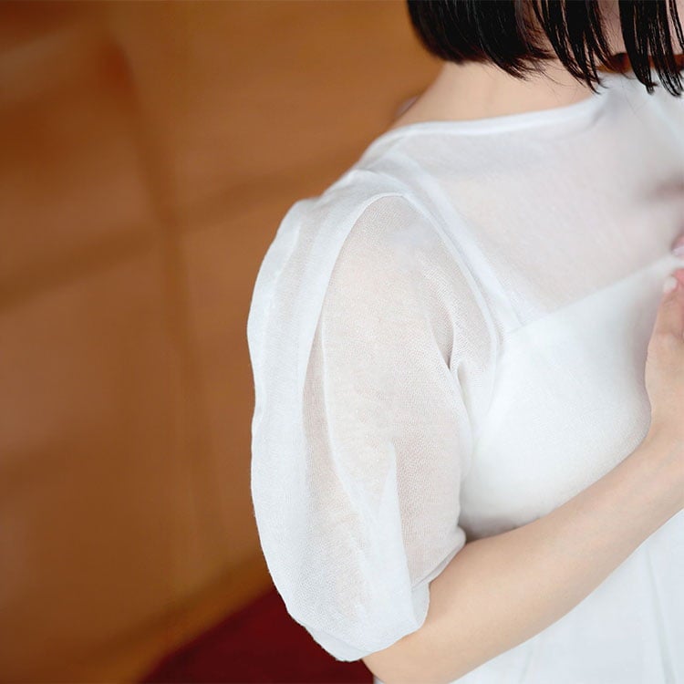 大きいサイズ レディース シアー半袖ティアードチュニック