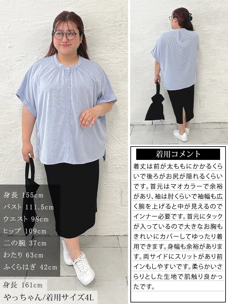 大きいサイズ レディース ストライプバンドカラードルマンプルオーバー