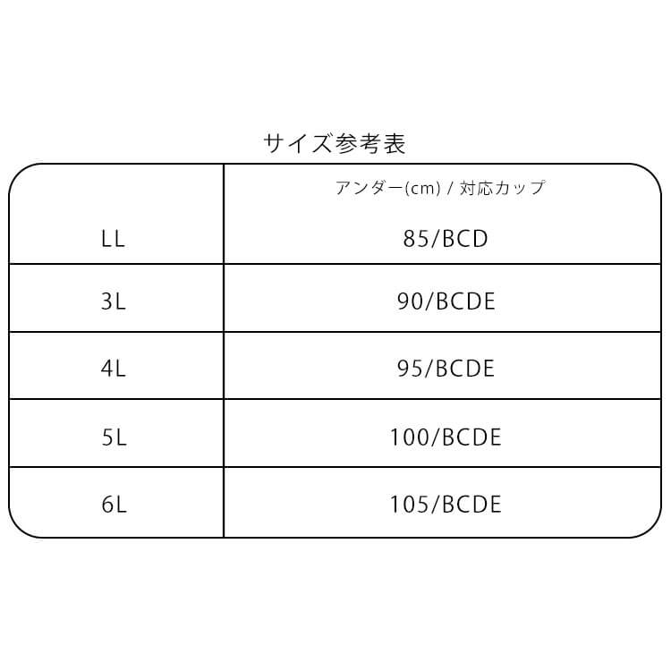 大きいサイズ レディース シームレスブラジャー＆ショーツ2点セット