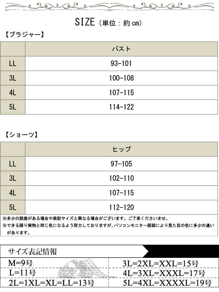 大きいサイズ レディース Wパッドノンワイヤーレースブラ＆ショーツ2点セット